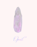 Petal Perfect Lip Oil